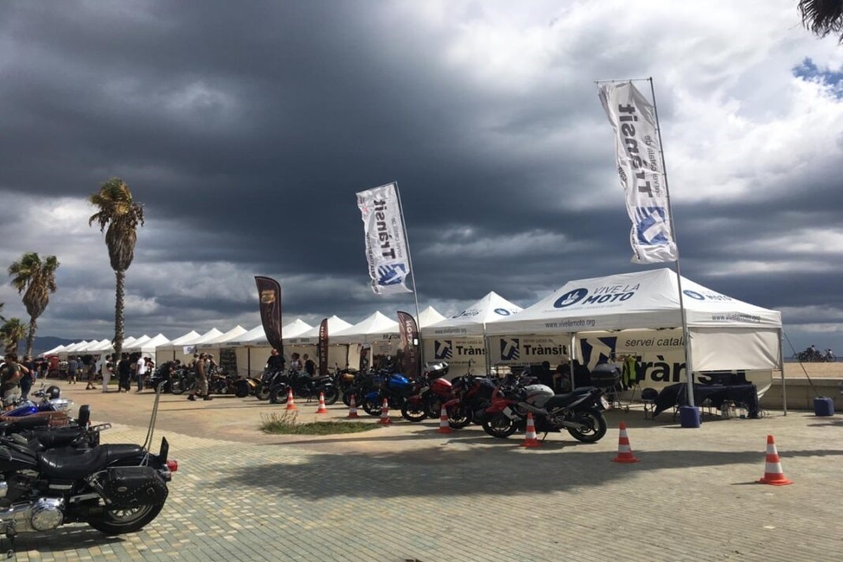 The ANESDOR 3.0 Training Program starts its 10th edition