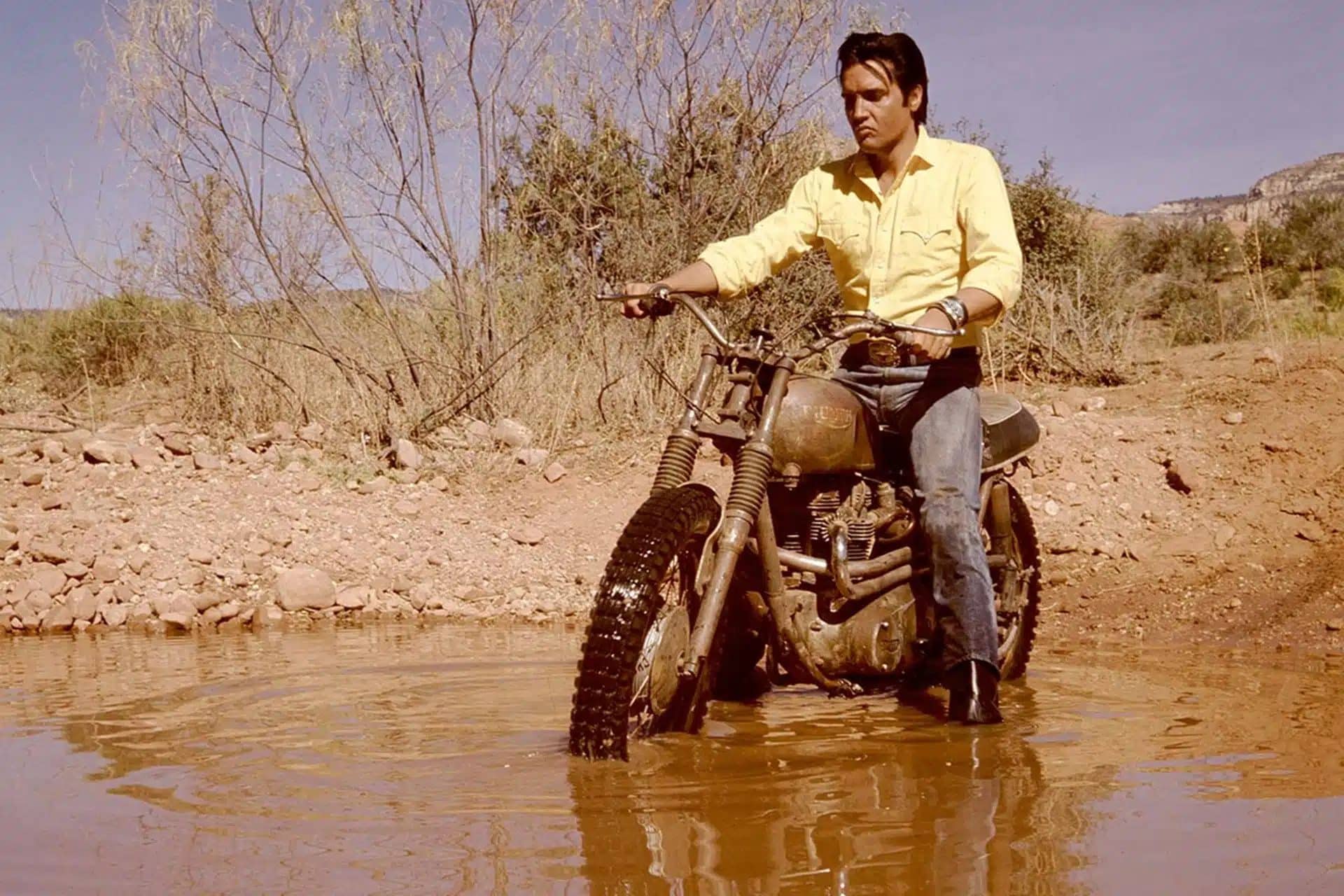 Triumph Elvis Presley