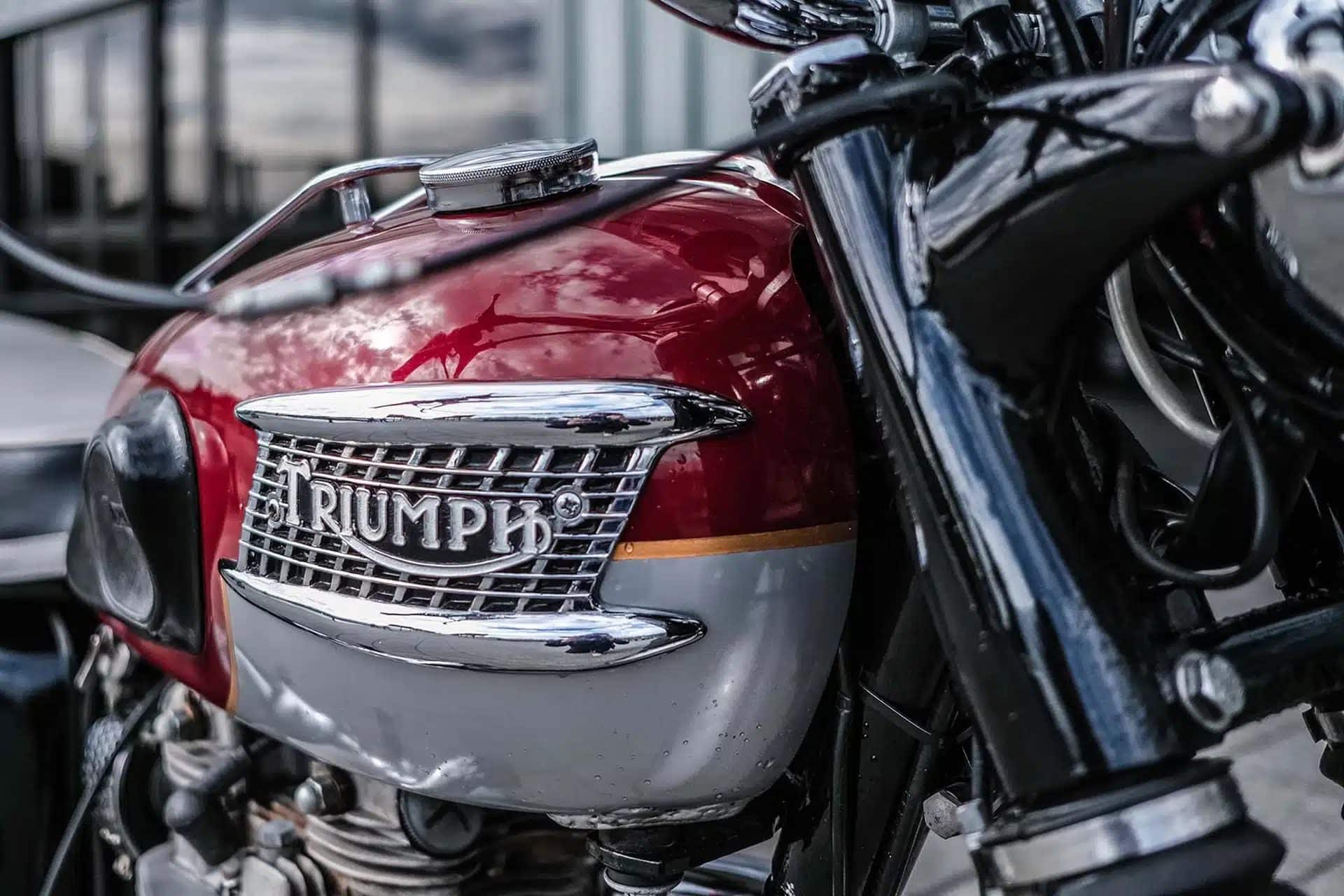 Triumph Elvis Presley