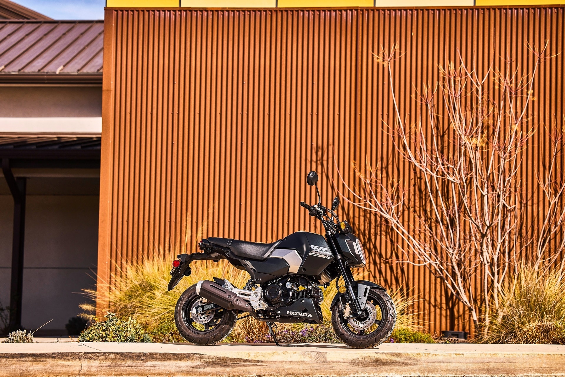 Honda MSX125 Grom 2025
