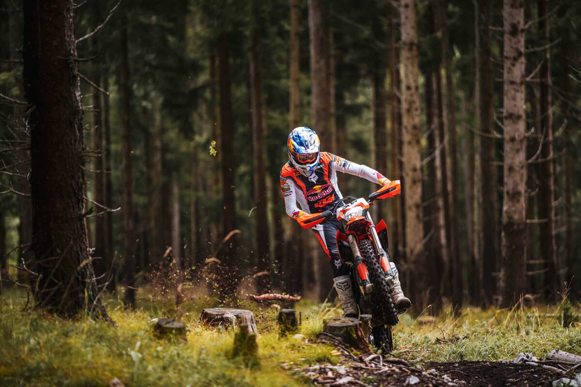 KTM completely renews its Freeride E for next 2025