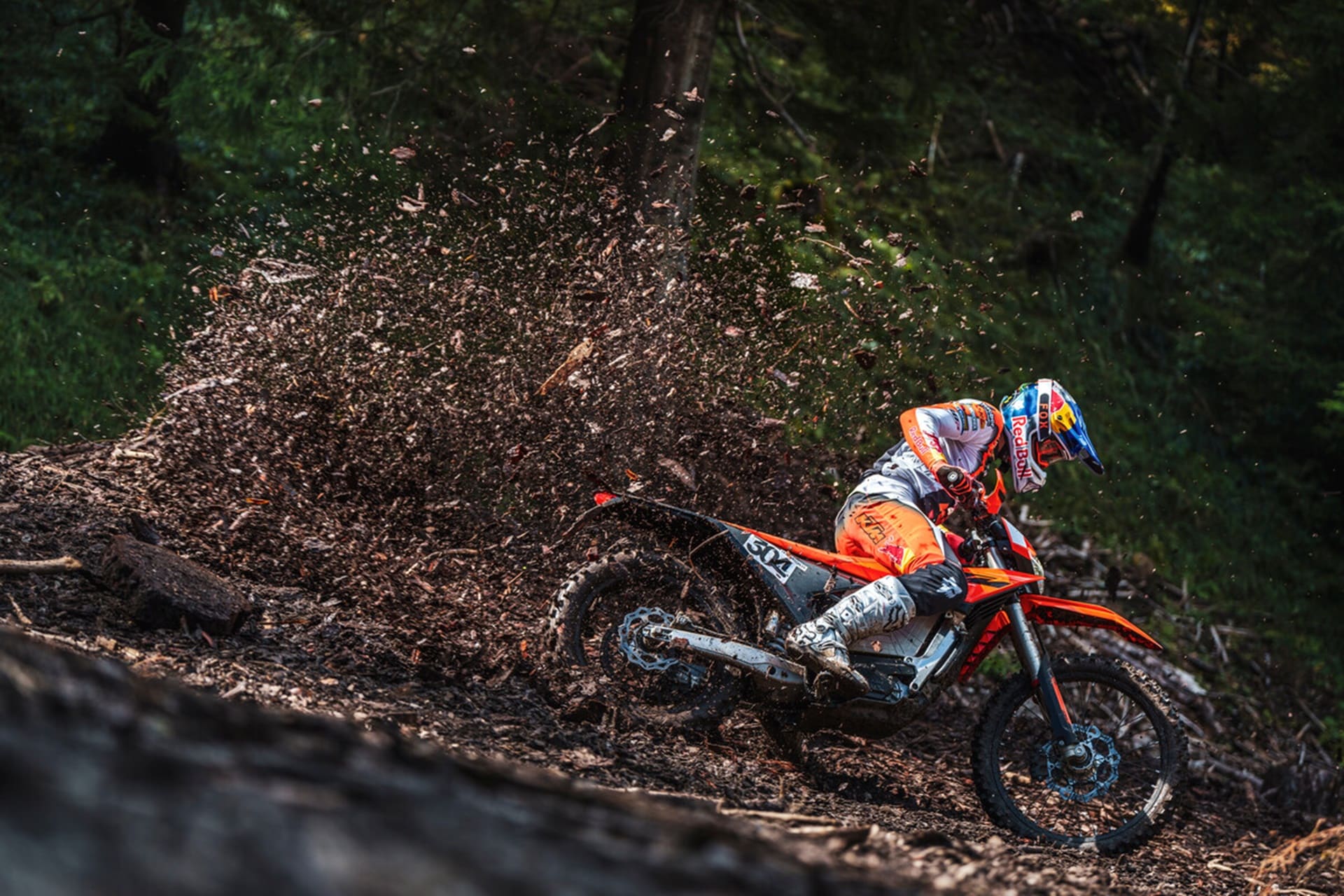 KTM completely renews its Freeride E for next 2025