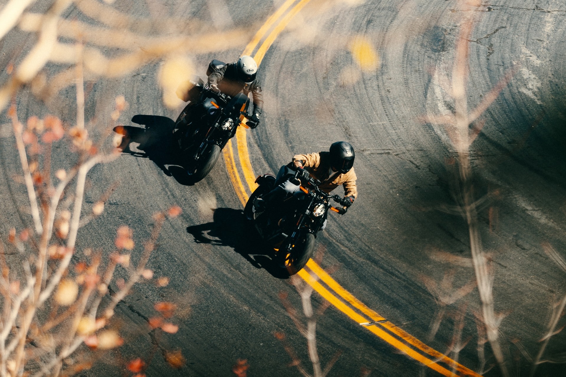 LiveWire S2 Alpinista 2025