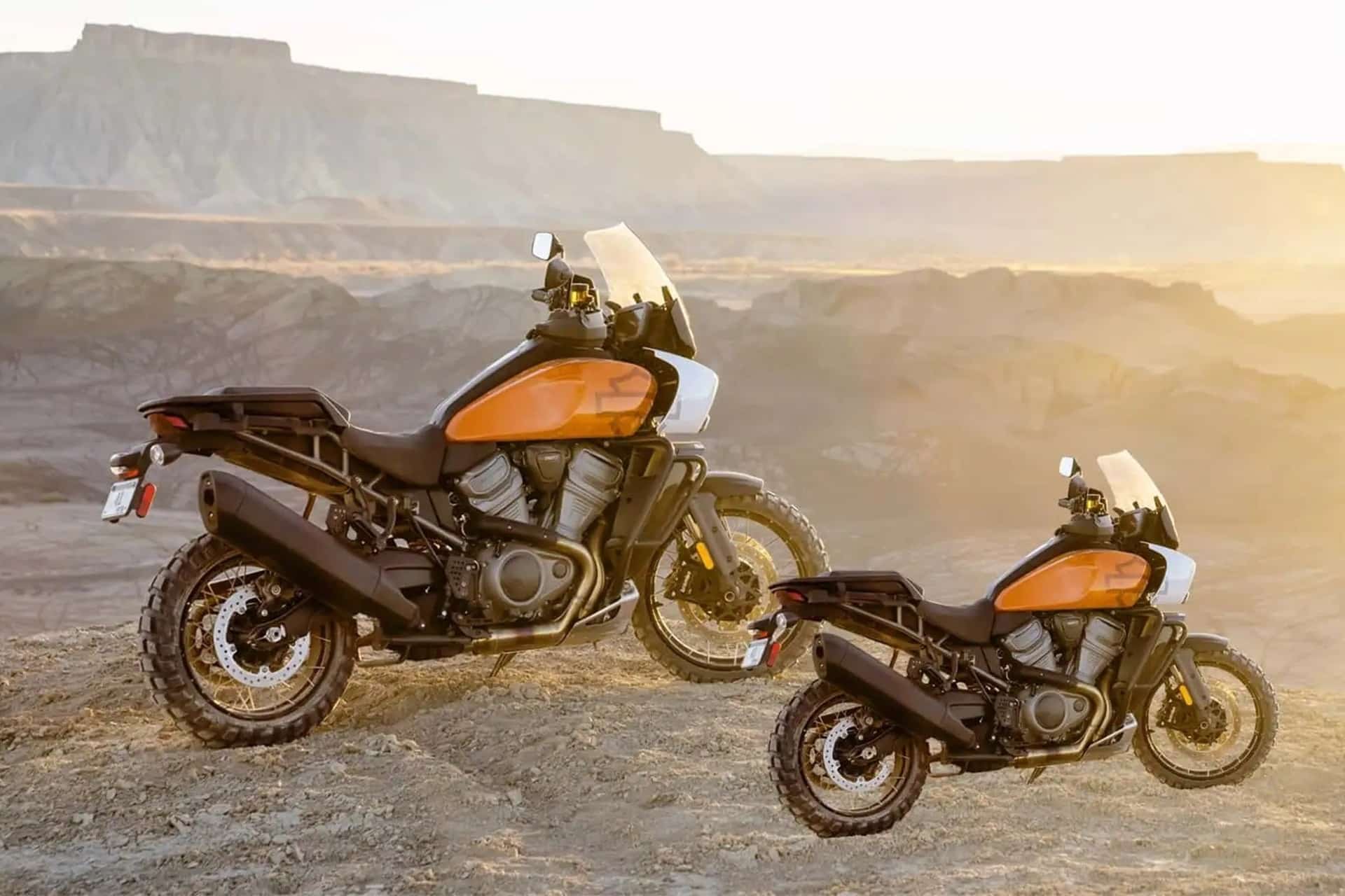 This 2025 could come with a Pan America 440 "under the arm"