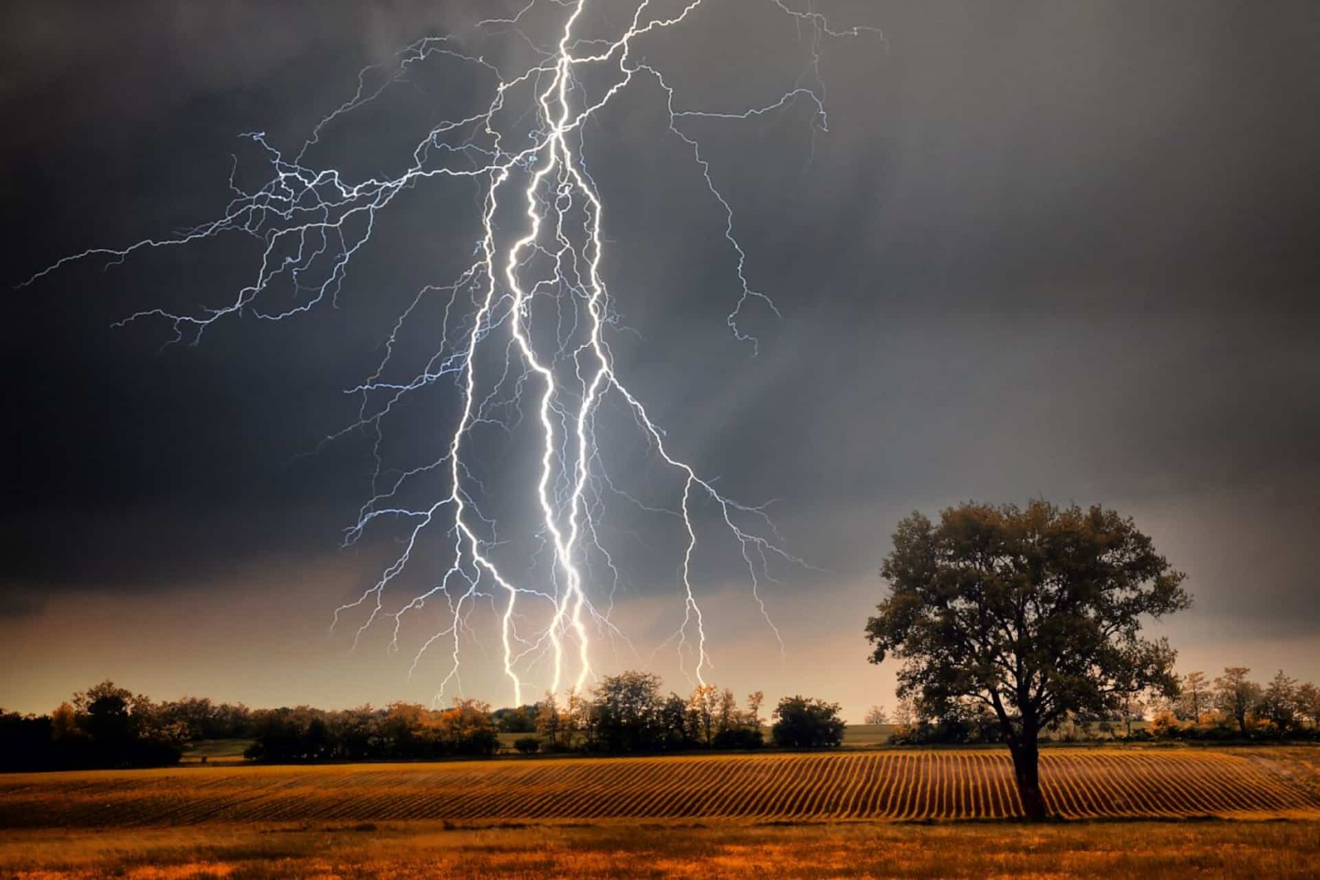 Rayo impact motorist in Italy dies