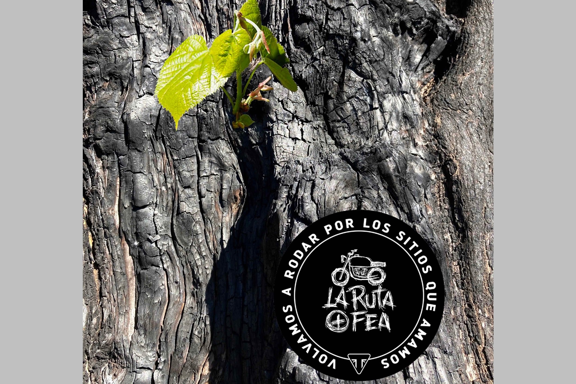 La Ruta + Fea, con el apoyo de Triumph, insta al colectivo motero a reimpulsar las zonas quemadas en este duro verano de incendios