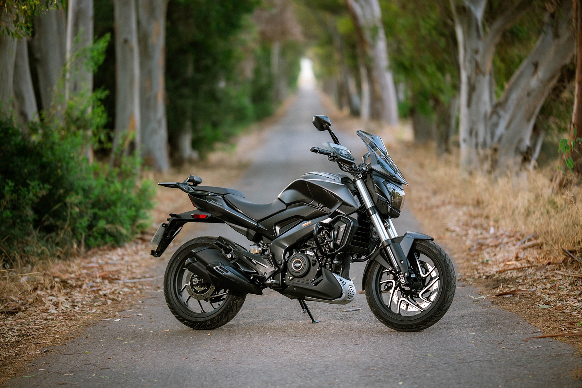 Dominar 400: the ideal sport-tourer for those who take up the motorcycle in 2026