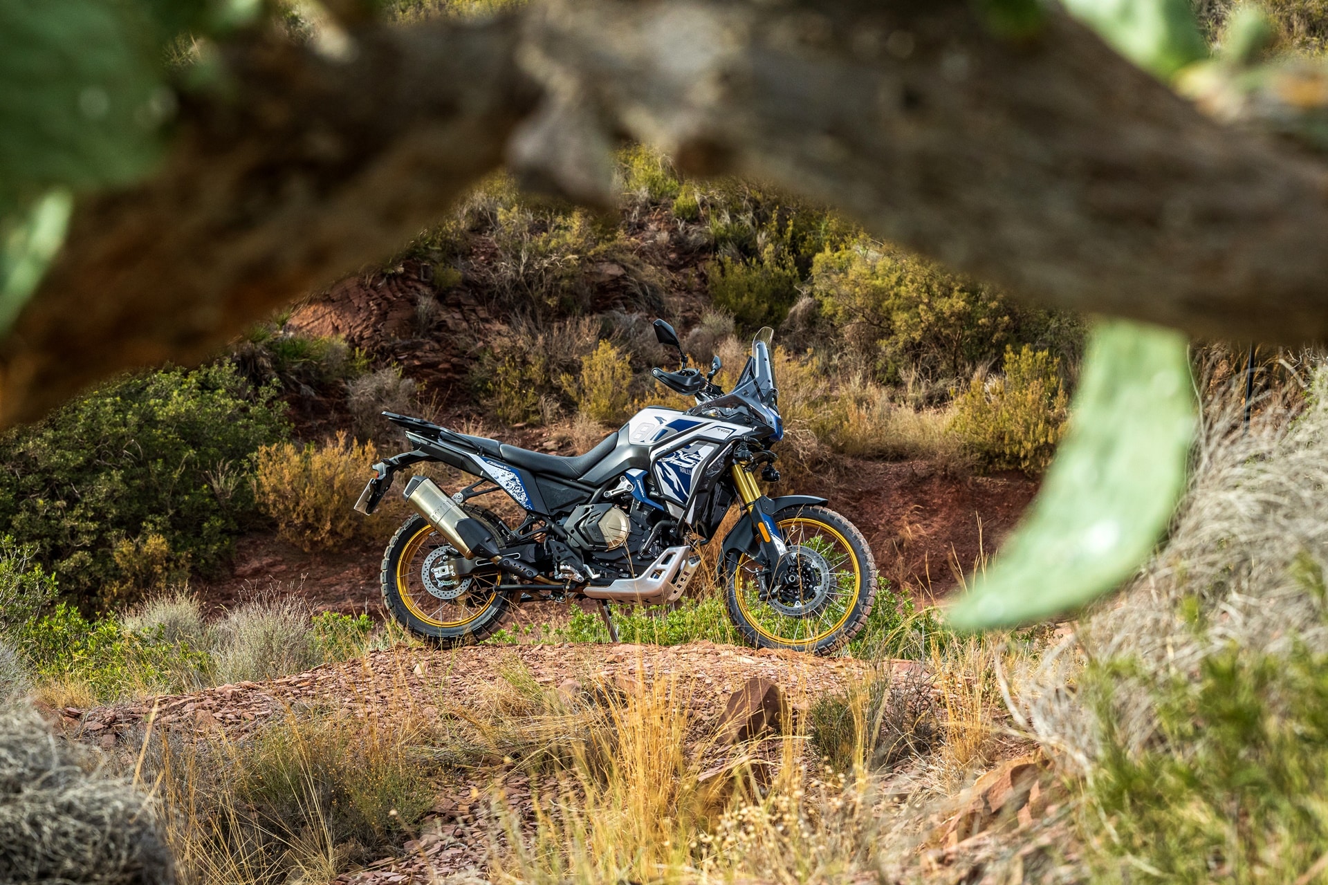 Voge DS800 Rally: now also available for the A2 license