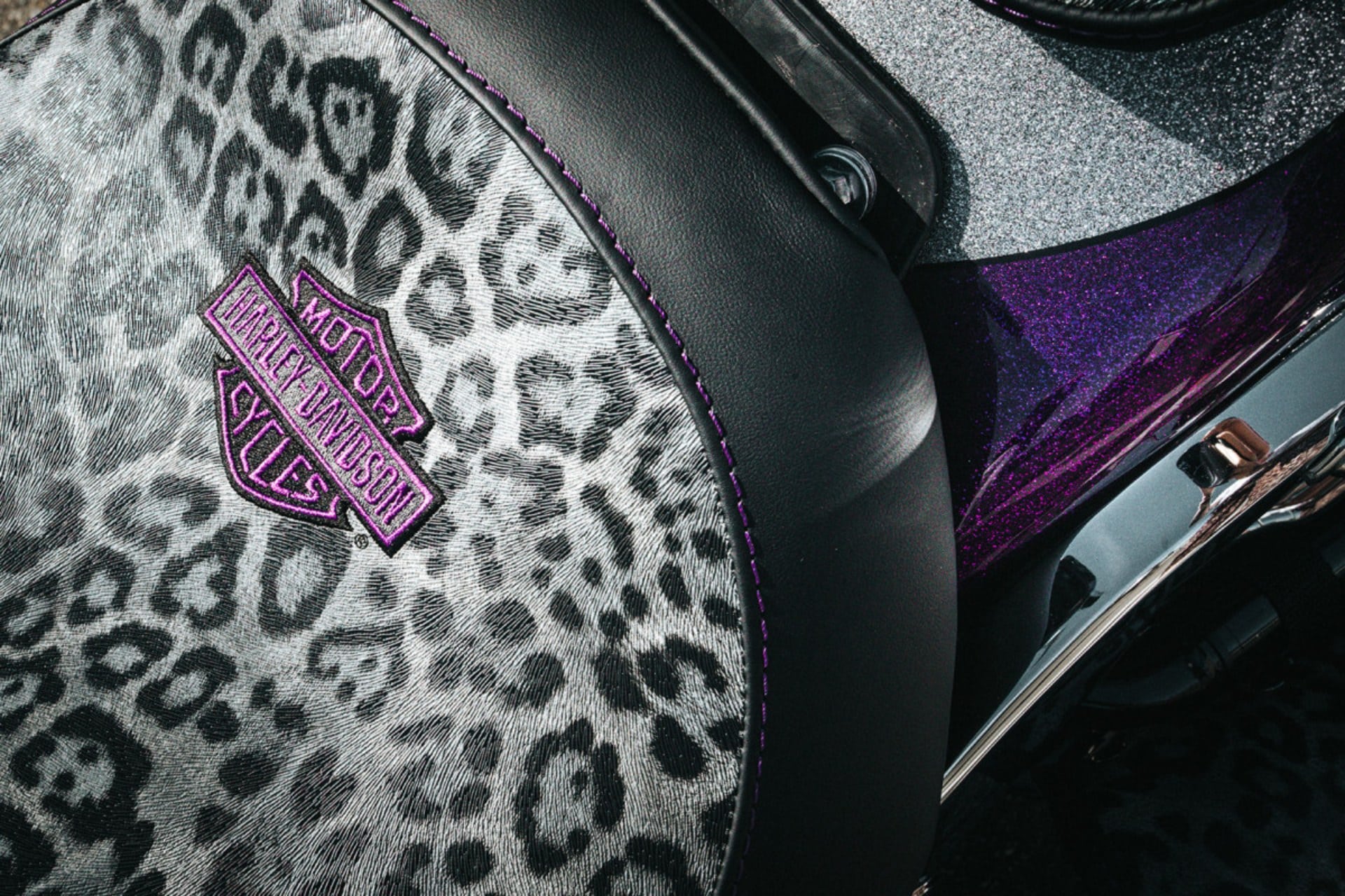 Harley Davidson Creators Custom Clash