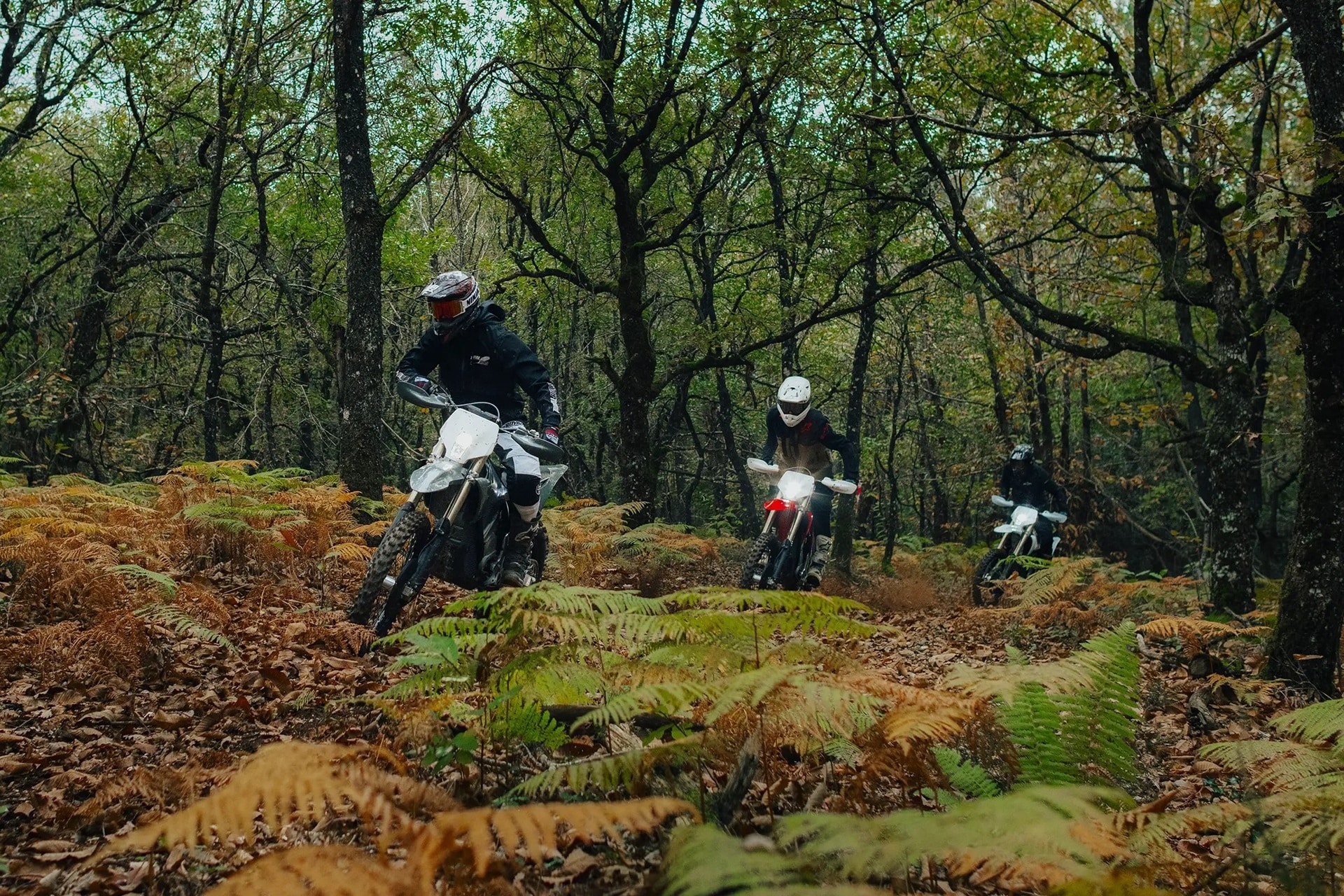 Stark Future provides its range of models with traction control