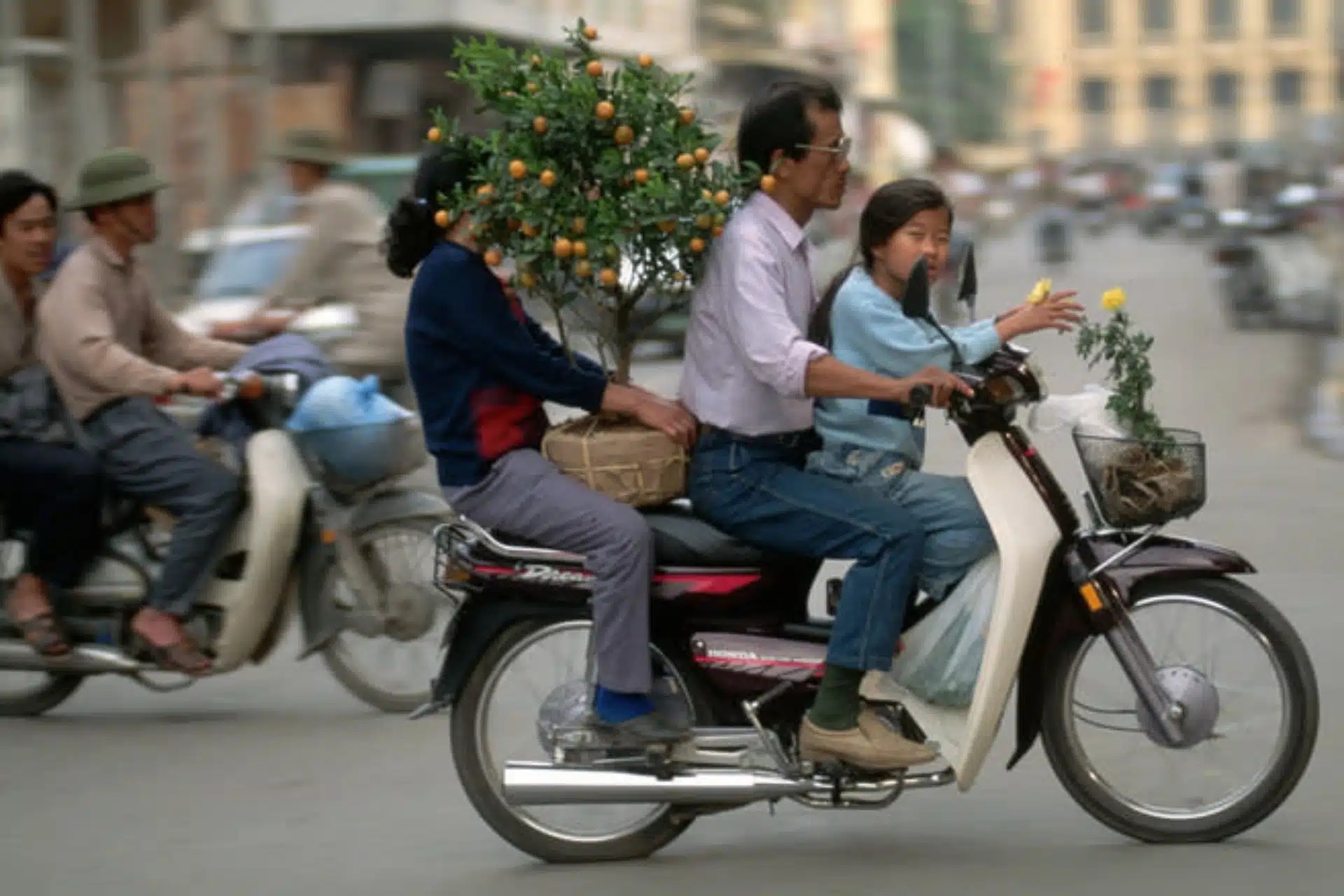 ZBEs arrive in Vietnam and India and with them the “extermination” of gasoline motorcycles