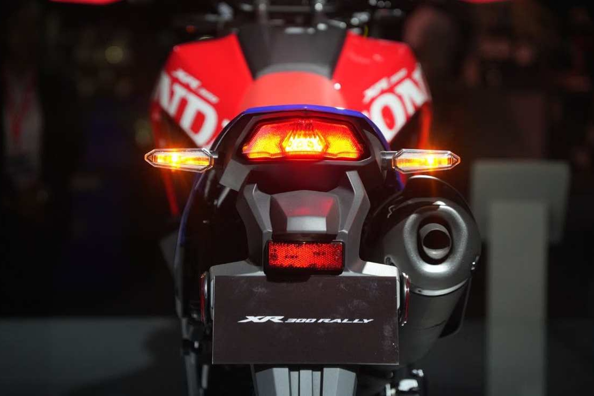 XR300L and XR300 Rally: this is Honda's new access trails