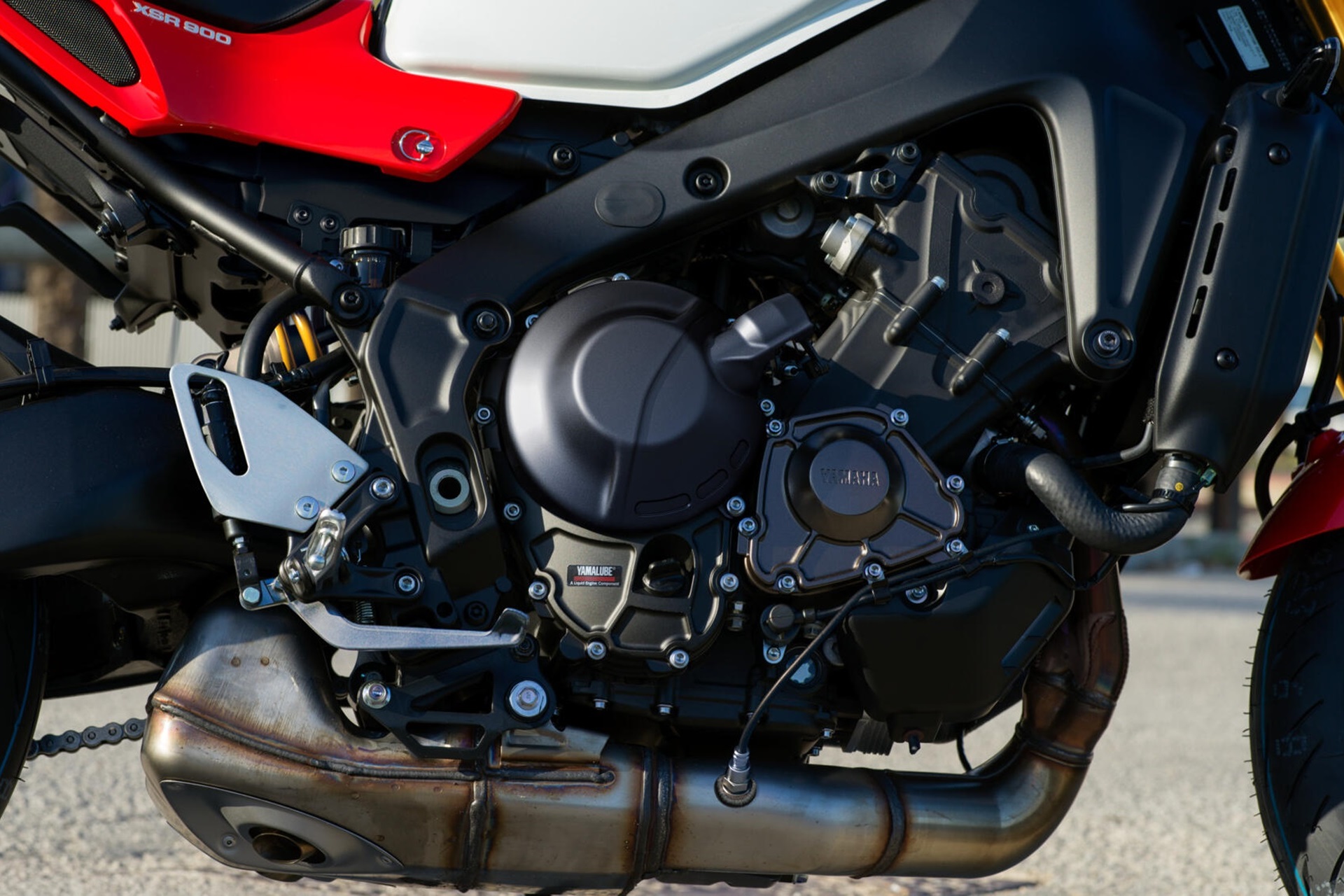 Yamaha registers an XSR900 SP version for its 2027 range