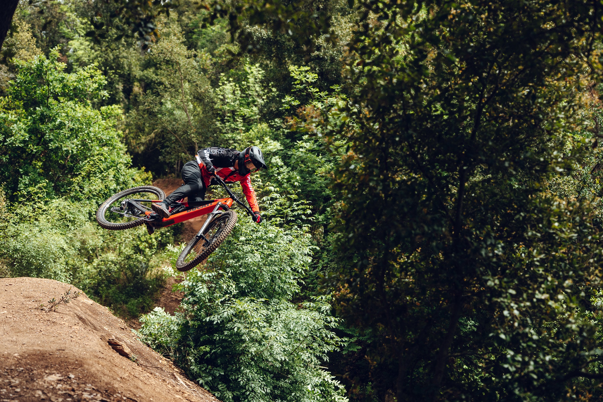 Ducati and Gruppo Zecchetto join forces to develop a range of high-performance bicycles