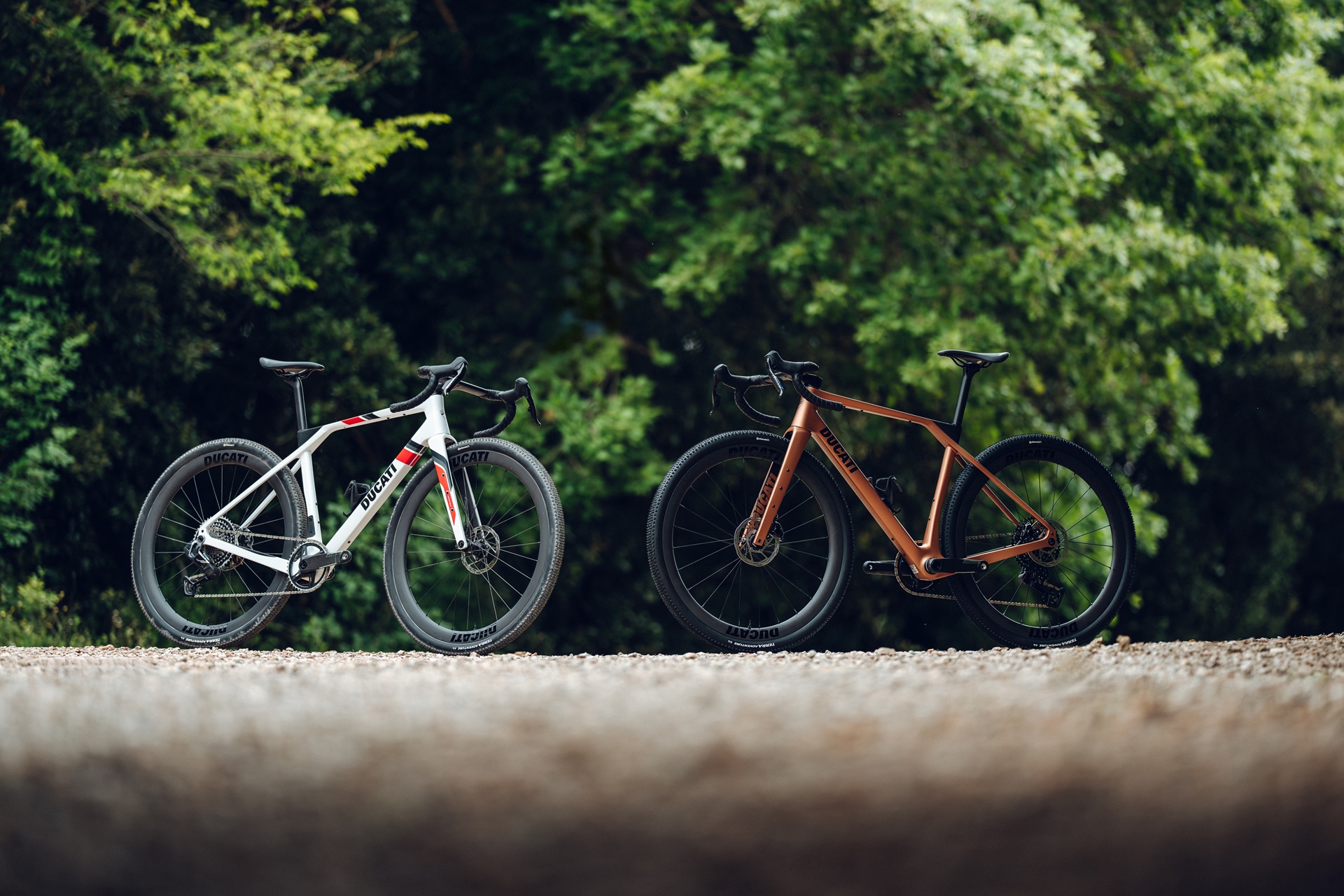 Ducati and Gruppo Zecchetto join forces to develop a range of high-performance bicycles