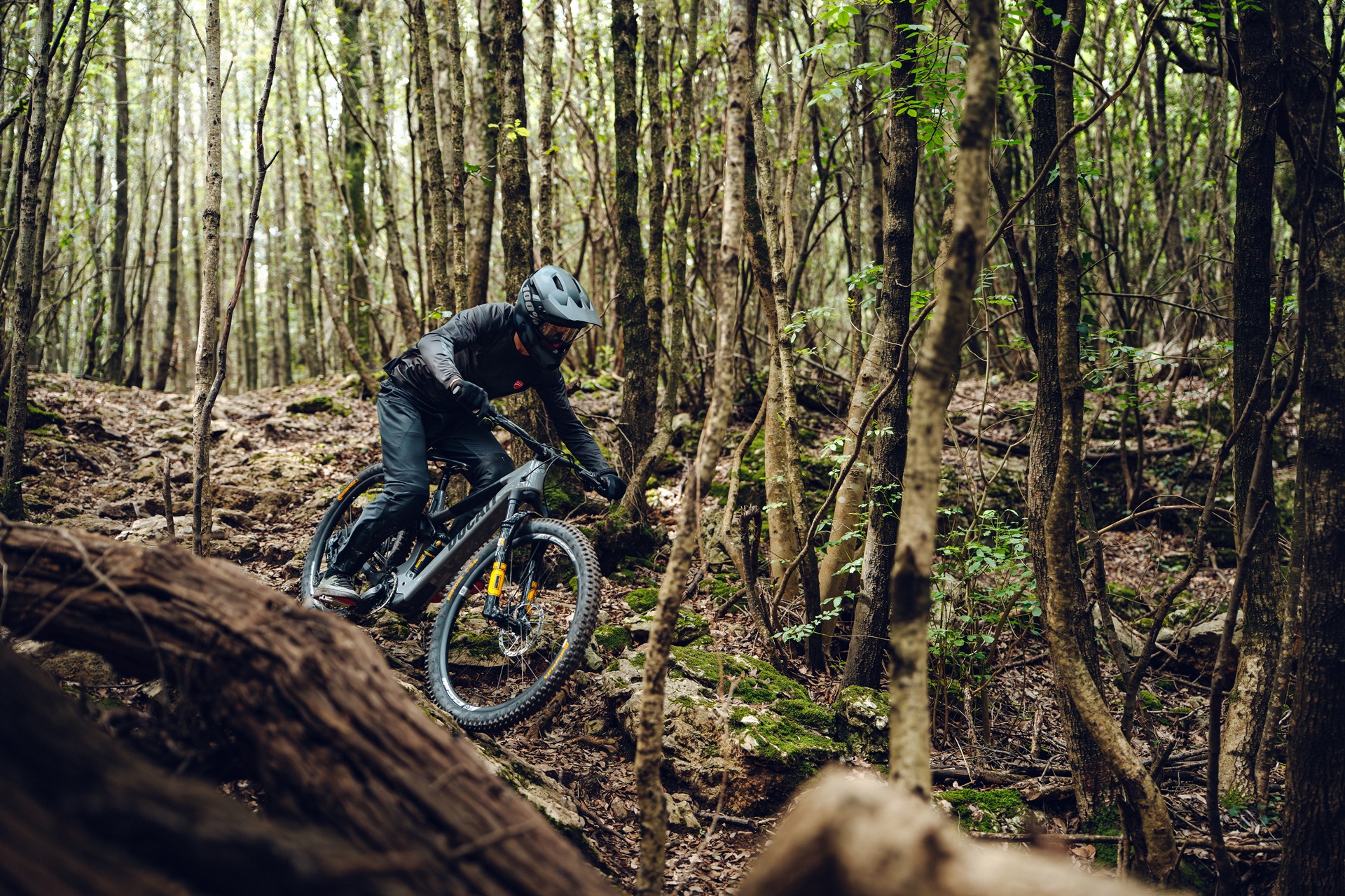 Ducati and Gruppo Zecchetto join forces to develop a range of high-performance bicycles