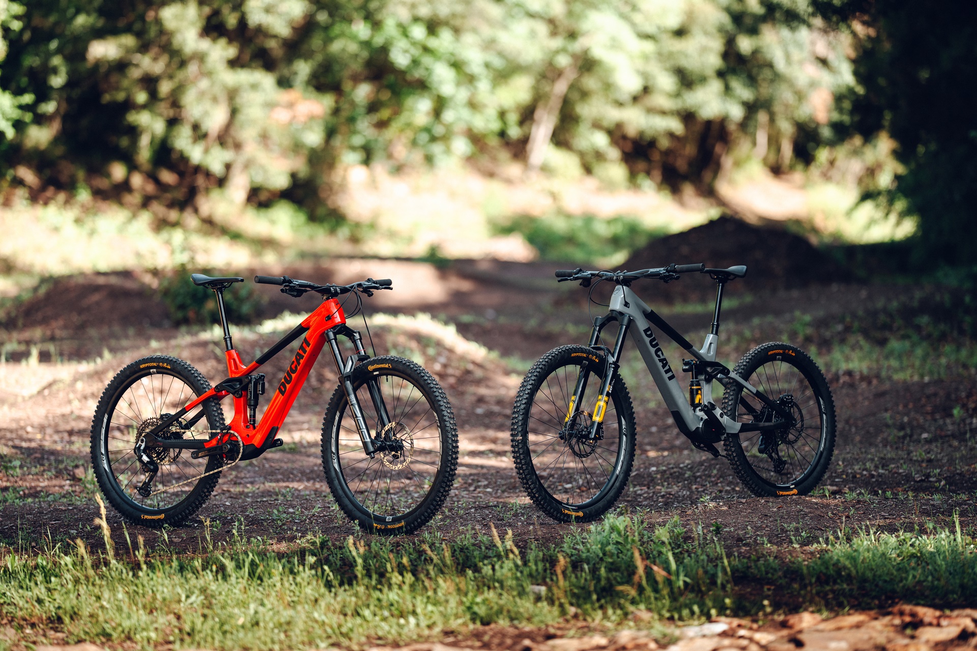Ducati and Gruppo Zecchetto join forces to develop a range of high-performance bicycles