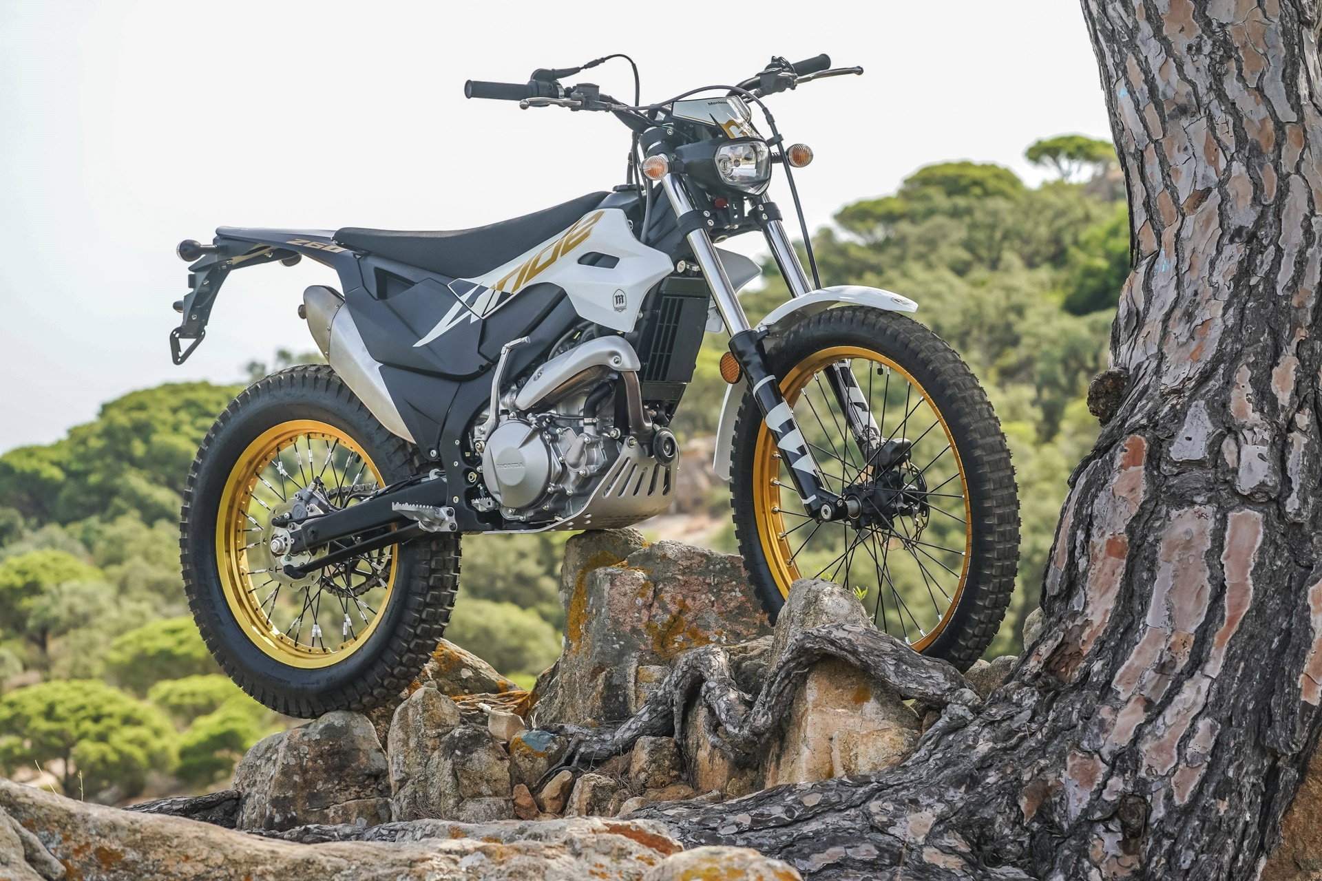Montesa launches new decorations in its renewed 2027 range