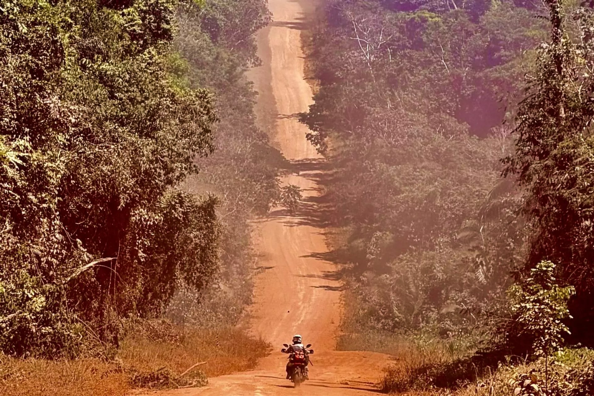 Alicia Sornosa Amazonia 2026