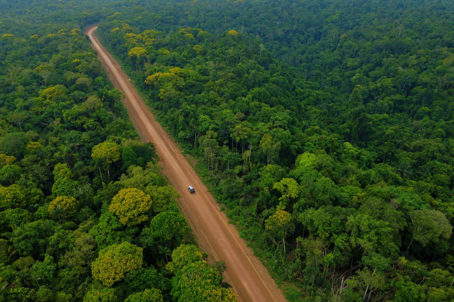 Alicia Sornosa Amazonia 2026