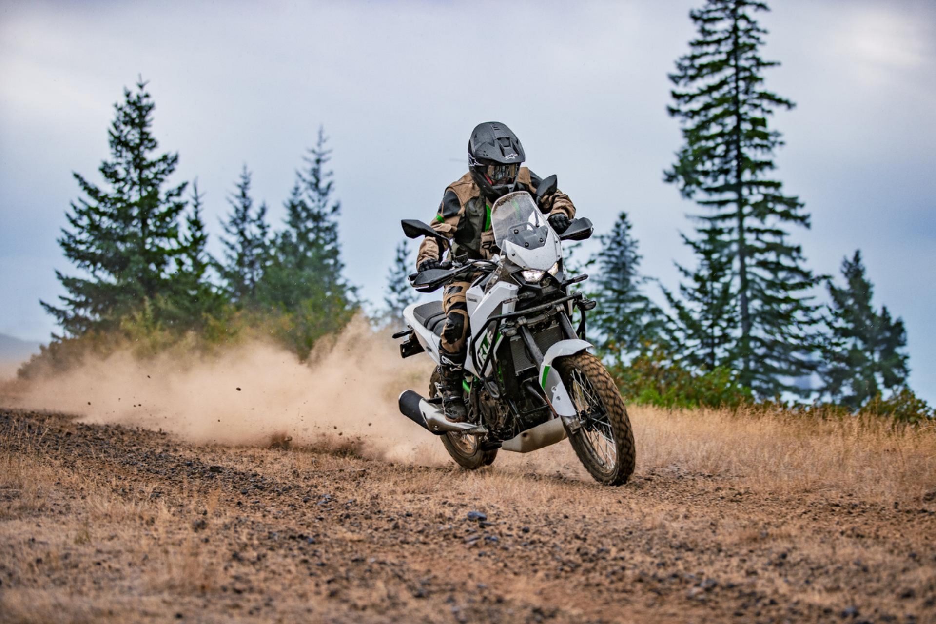 Kawasaki KLE500 KLE650